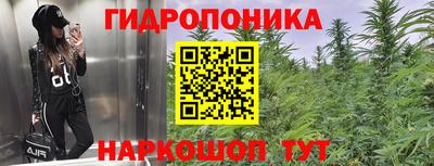 эйфоретик Пенза